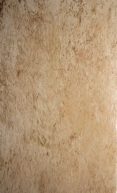 Pietra di Lecce Ambra |30x50