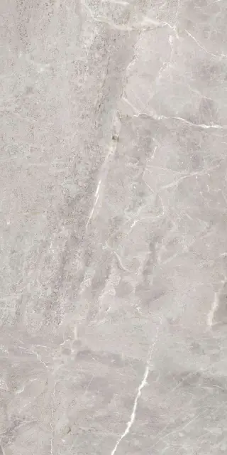 Модерн серый матовый  |60х120