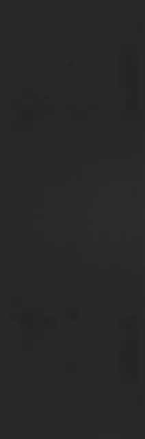 Collection  Nero  Ass. 5.6 ZZ 100x300