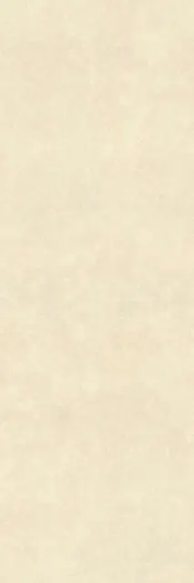 C-Stone White  5.5 mm 100x300