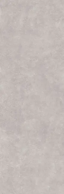 C-Stone Grey  5.5 mm 100x300