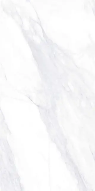 Payer Elegant G281/Пайер Элегантный мат. 60x120