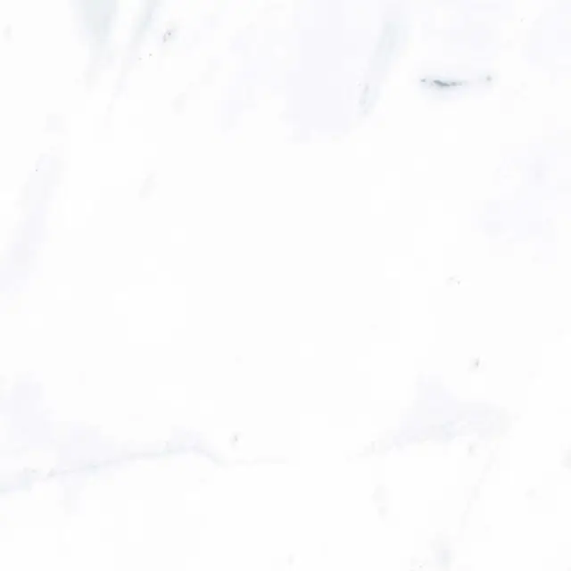 Payer Grey G283/Пайер серый полированный 60x60