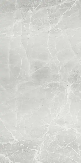 Uvildy Grey G363/Увильды серый мат.60x120