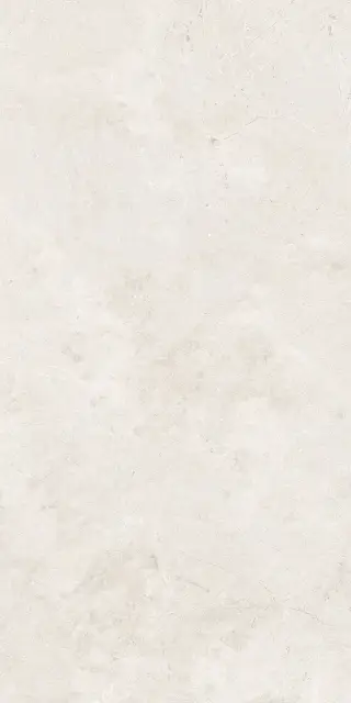 Керамогранит SALMA BONE MATT