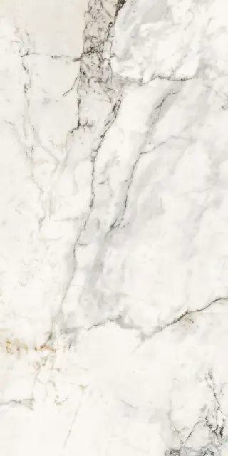 AE PAO6 12 LP |60x120