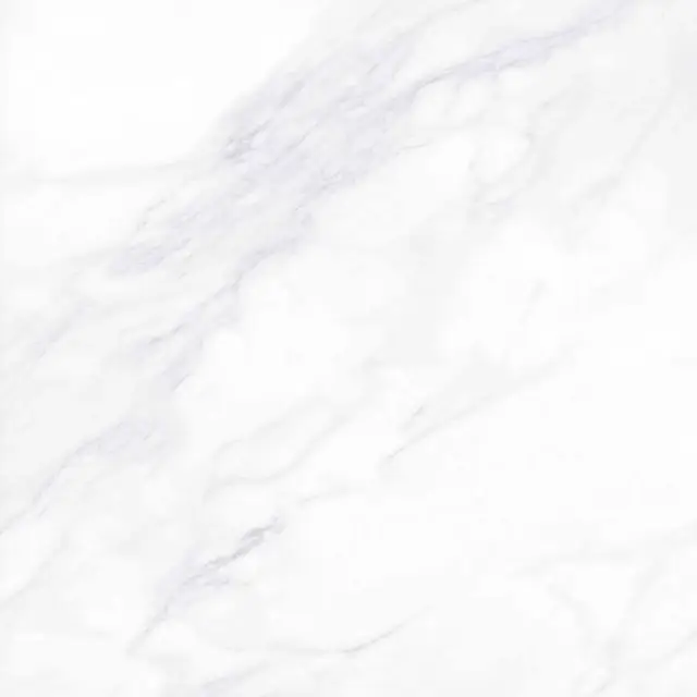 Payer Elegant G281/Пайер Элегантный мат. 60x60