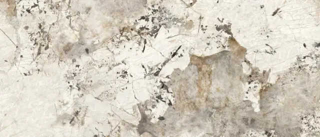 Patagonia Polished 120x278