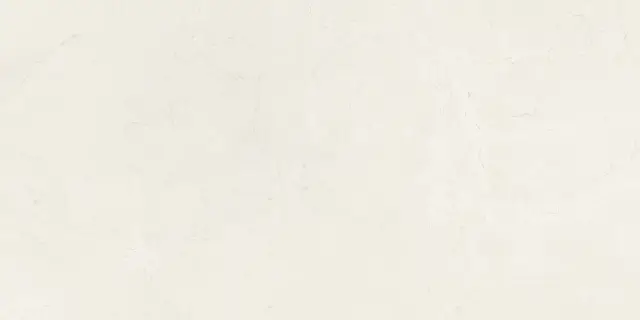 PETRA AUREA RECT 60X120