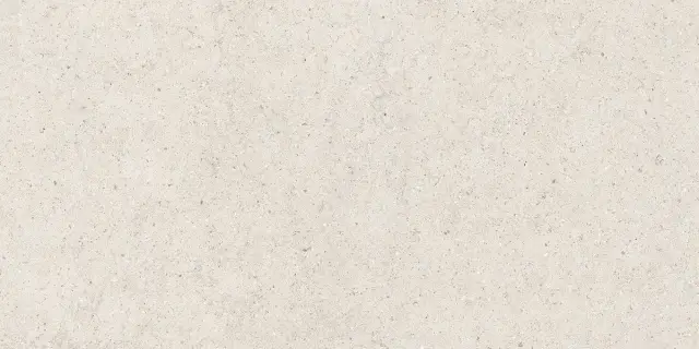 Forum Stone Polar 60x120