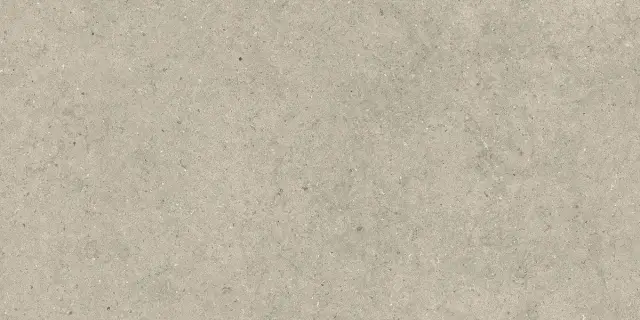 Forum Stone Desert 60x120