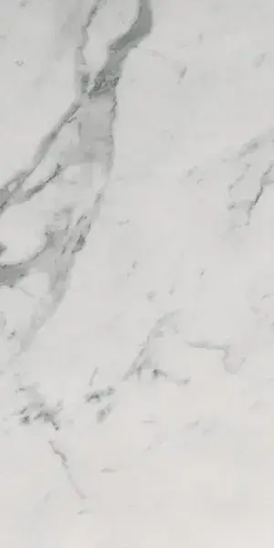 ROMA STONE 60X120 CARRARA SUPERIORE MATT R9