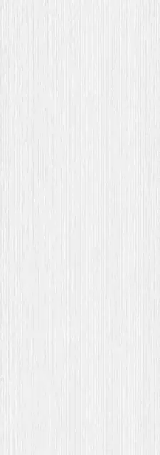 Rigato Neve 100х300 3+