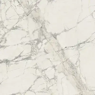 PREXIOUS REX MOUNTAIN TREASURE GLOSSY 80X80 R