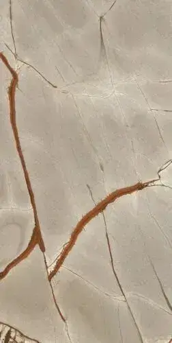 NATURE MOOD RAINFOREST GLOSSY 6MM 60X120 RT