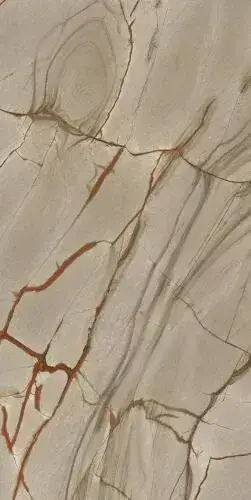 NATURE MOOD RAINFOREST GLOSSY 9MM 60X120 RE