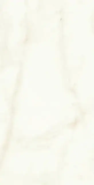 Marvel Calacatta Delicato 40x80 Shiny