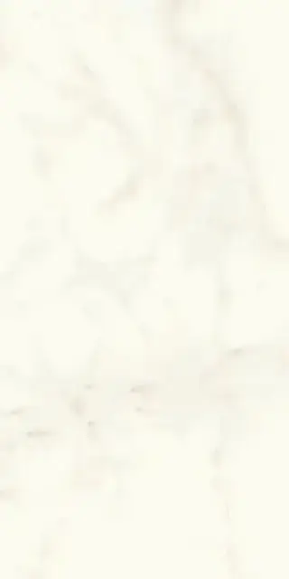 Marvel Calacatta Delicato 60x120 Matt
