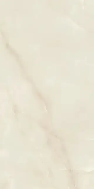 Marvel Onyx White 60x120 Lapp.