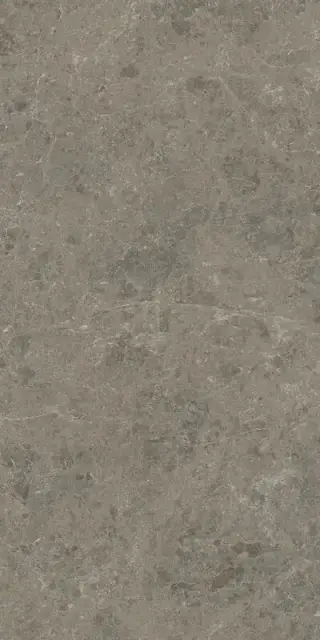 Marvel Meraviglia Grigio Elegante 60x120 Lapp.