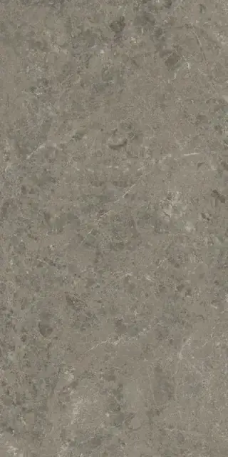 Marvel Meraviglia Grigio Elegante 60x120