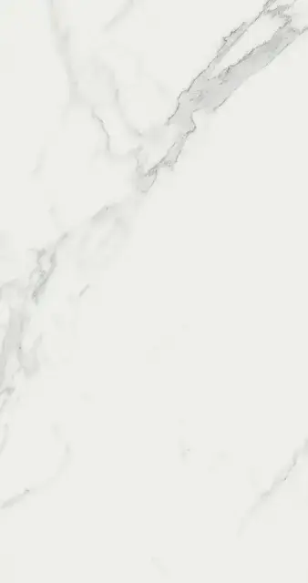 Marvel Calacatta 50x120