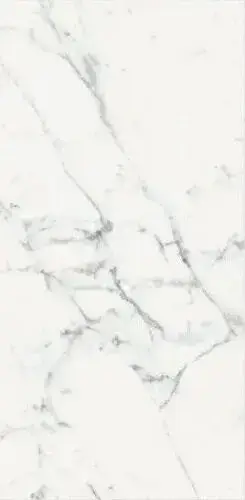 ORIGINES DE REX BLANC GLOSSY 60X120 RETT