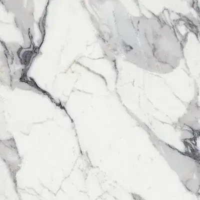 ORIGINES DE REX ARGENT GLOSSY 6MM 120X120 R