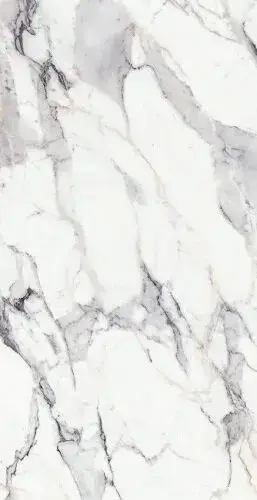 ORIGINES DE REX ARGENT GLOSSY 6MM 120X240 R