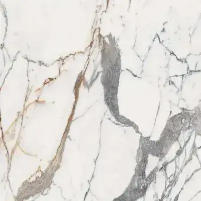 ORIGINES DE REX OR GLOSSY 6MM 120X120 R