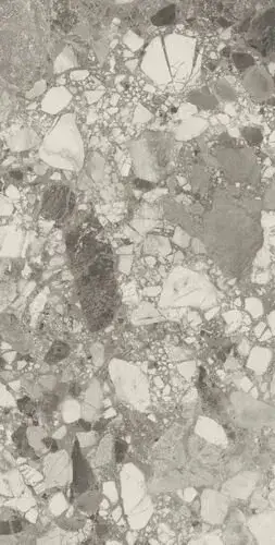 Forte Dei Marmi Ceppo Apuano Pearl Rett 80x160