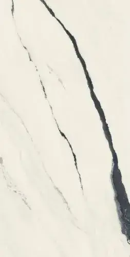 Forte Dei Marmi Panda White 80x160 Lapp