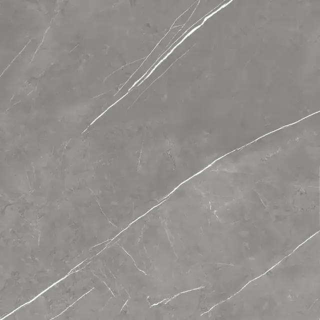 Forte Dei Marmi Elegant Grey Rett 120x120
