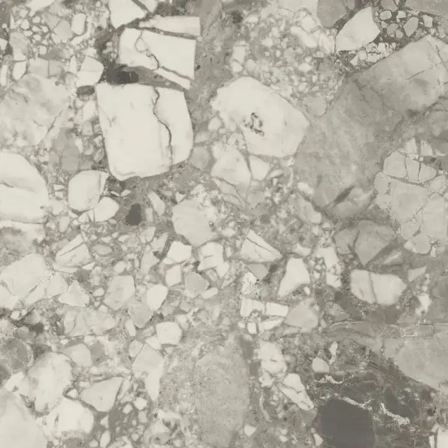 Forte Dei Marmi Ceppo Apuano Pearl Rett 120x120