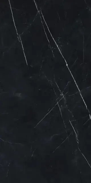 Forte Dei Marmi Elegant Black Rett 60x120 Cerato