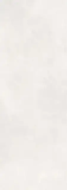 Calce Bianco 100х300 5