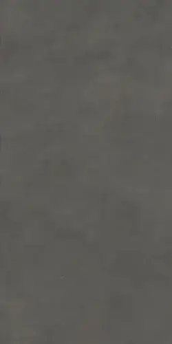 Boost Natural Coal 60x120