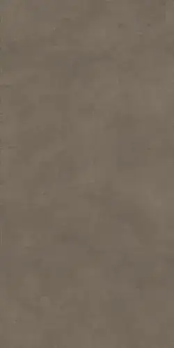 Boost Natural Umber 60x120