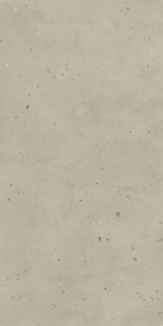 Avantgarde Dust 60х120 Ret