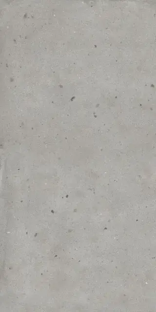 Avantgarde Silver 60х120 Ret