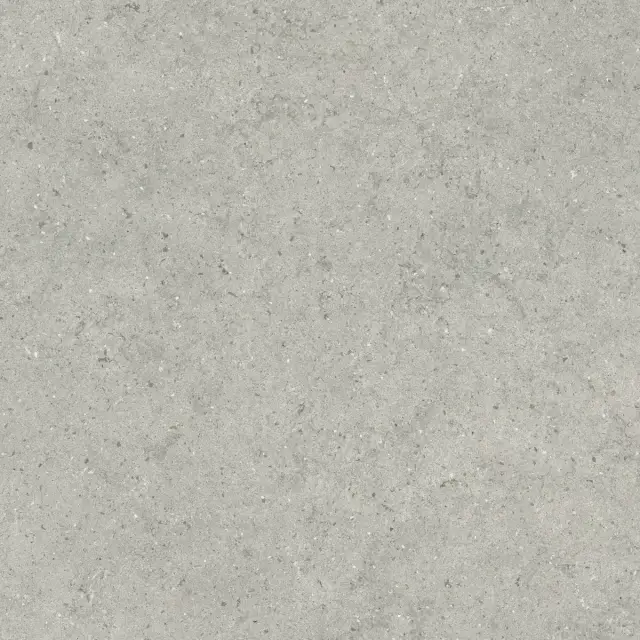 Italon Керамический гранит Forum Керамогранит Stone Silver 80x80 натуральный