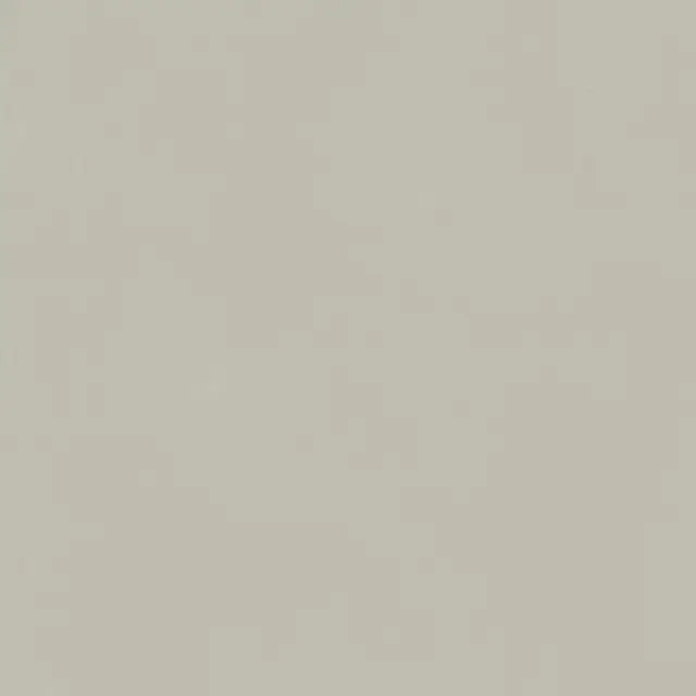 Forum Slim Silver 80x80