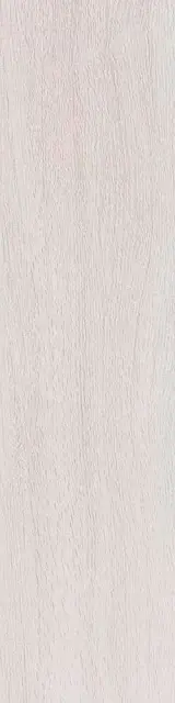 Вяз белый|9.9x40.2