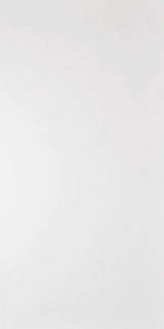 Керамогранит Domino G-100MR белый матовый  l60x120