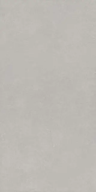 VIS6 240AG RM (п.п.) XX 120x240