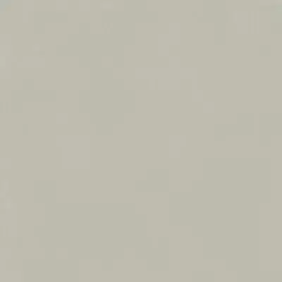 FORUM SLIM SILVER 80 RET