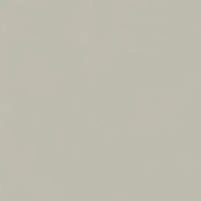 FORUM SLIM SILVER 120 RET