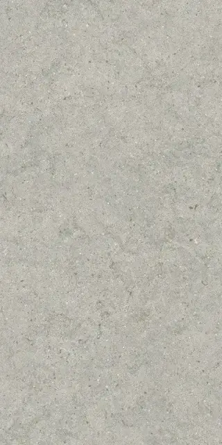 FORUM STONE SILVER 60X120