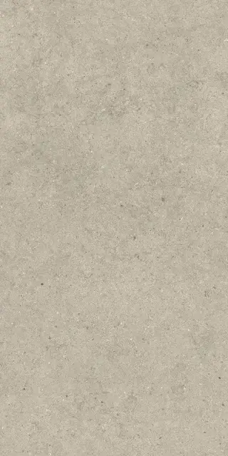 FORUM STONE DESERT 60X120