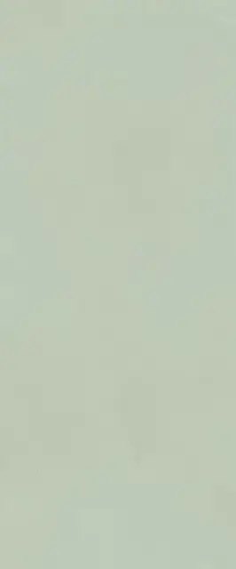 TRUE COLOR 50X120 MATCHA MATT